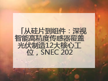 从硅片到组件：深视智能高精度传感器覆盖光伏制造12大核心工位，SNEC 2025诚邀见证