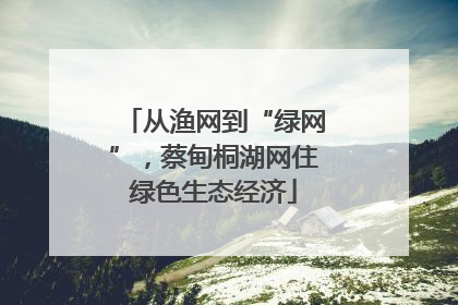 从渔网到“绿网”，蔡甸桐湖网住绿色生态经济