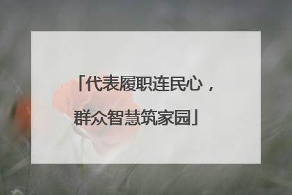 代表履职连民心，群众智慧筑家园