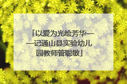 以爱为光绘芳华——记通山县实验幼儿园教师管聪敏
