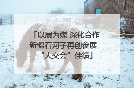 以展为媒 深化合作 新疆石河子再创参展“大交会”佳绩