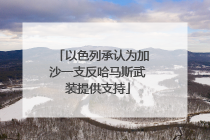 以色列承认为加沙一支反哈马斯武装提供支持
