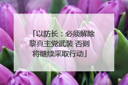 以防长：必须解除黎真主党武装 否则将继续采取行动