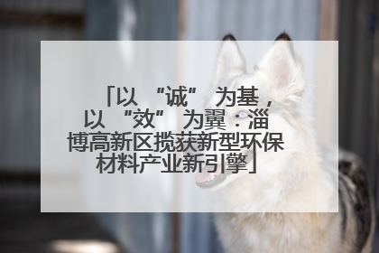 以 “诚” 为基，以 “效” 为翼：淄博高新区揽获新型环保材料产业新引擎