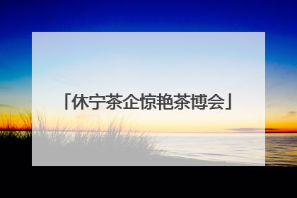 休宁茶企惊艳茶博会