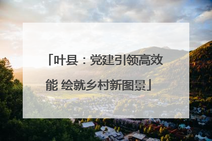 叶县：党建引领高效能 绘就乡村新图景