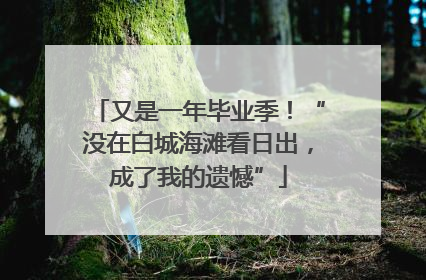 又是一年毕业季！“没在白城海滩看日出，成了我的遗憾”