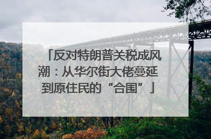 反对特朗普关税成风潮：从华尔街大佬蔓延到原住民的“合围”