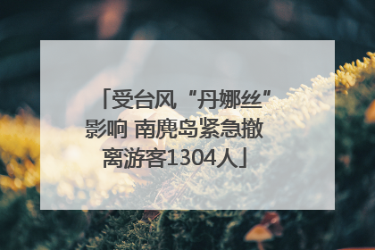 受台风“丹娜丝”影响 南麂岛紧急撤离游客1304人
