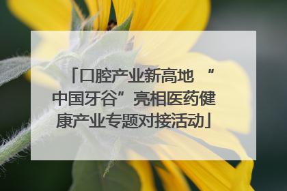 口腔产业新高地 “中国牙谷”亮相医药健康产业专题对接活动