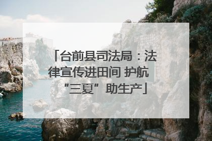 台前县司法局：法律宣传进田间 护航“三夏”助生产
