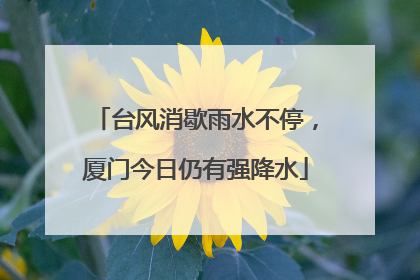 台风消歇雨水不停，厦门今日仍有强降水