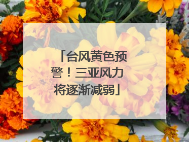 台风黄色预警！三亚风力将逐渐减弱