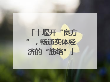 十堰开“良方”，畅通实体经济的“筋络”