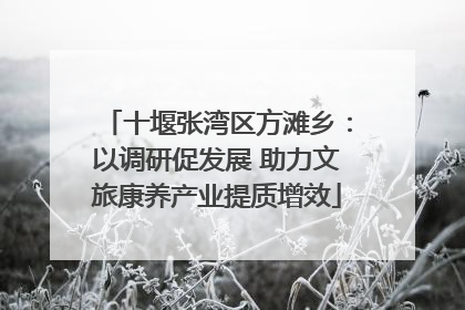 十堰张湾区方滩乡：以调研促发展 助力文旅康养产业提质增效