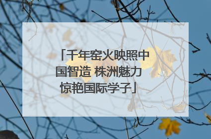 千年窑火映照中国智造 株洲魅力惊艳国际学子