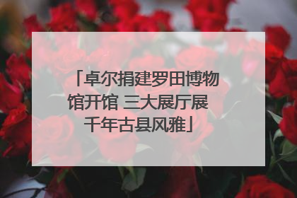 卓尔捐建罗田博物馆开馆 三大展厅展千年古县风雅