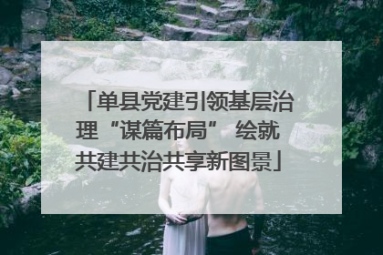 单县党建引领基层治理“谋篇布局” 绘就共建共治共享新图景