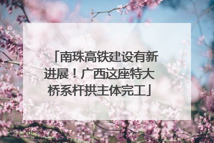 南珠高铁建设有新进展！广西这座特大桥系杆拱主体完工