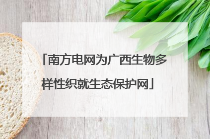 南方电网为广西生物多样性织就生态保护网
