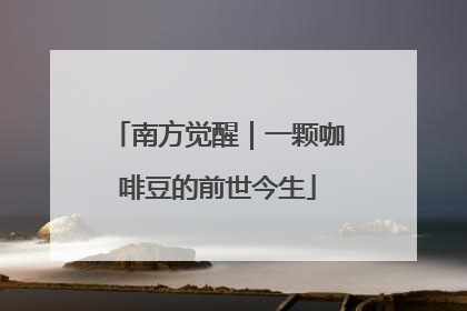 南方觉醒｜一颗咖啡豆的前世今生