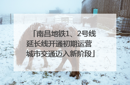 南昌地铁1、2号线延长线开通初期运营 城市交通迈入新阶段