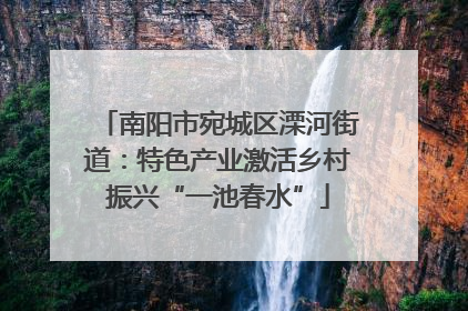 南阳市宛城区溧河街道：特色产业激活乡村振兴“一池春水”