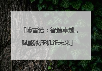 博雷诺：智造卓越，赋能液压机新未来