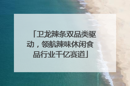 卫龙辣条双品类驱动，领航辣味休闲食品行业千亿赛道