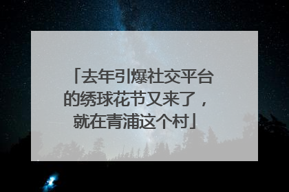 去年引爆社交平台的绣球花节又来了，就在青浦这个村