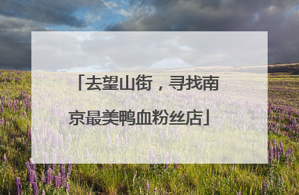 去望山街，寻找南京最美鸭血粉丝店
