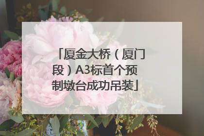 厦金大桥（厦门段）A3标首个预制墩台成功吊装