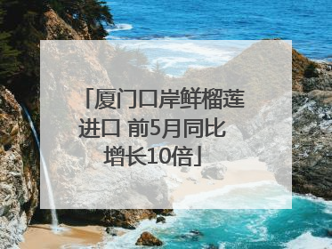 厦门口岸鲜榴莲进口 前5月同比增长10倍