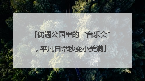 偶遇公园里的“音乐会”，平凡日常秒变小美满
