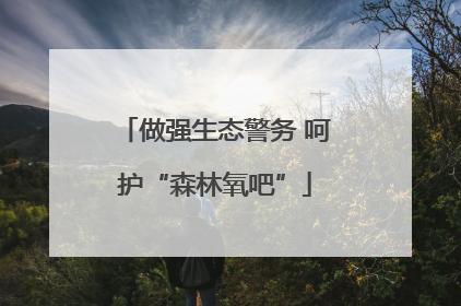 做强生态警务 呵护“森林氧吧”