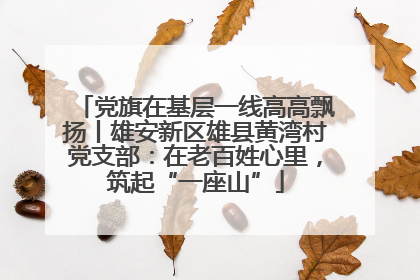 党旗在基层一线高高飘扬丨雄安新区雄县黄湾村党支部：在老百姓心里，筑起“一座山”