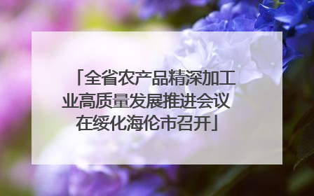 全省农产品精深加工业高质量发展推进会议在绥化海伦市召开