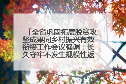 全省巩固拓展脱贫攻坚成果同乡村振兴有效衔接工作会议强调：长久守牢不发生规模性返贫致贫底线 王宁出席并讲话 王予波主持