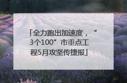 全力跑出加速度，“3个100”市重点工程5月攻坚传捷报