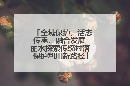 全域保护、活态传承、融合发展 丽水探索传统村落保护利用新路径