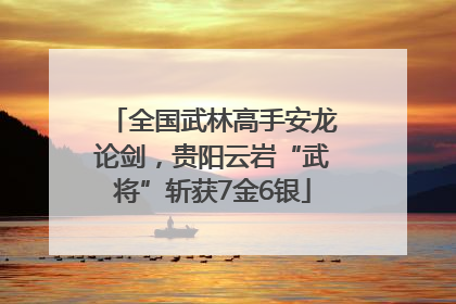 全国武林高手安龙论剑，贵阳云岩“武将”斩获7金6银