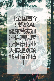 全国首个！蚂蚁AI健康管家通过信通院医疗健康行业大模型双领域可信评估