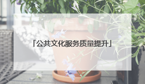 公共文化服务质量提升