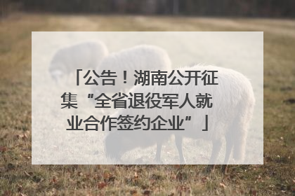 公告！湖南公开征集“全省退役军人就业合作签约企业”
