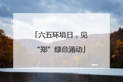 六五环境日，见“郑”绿意涌动