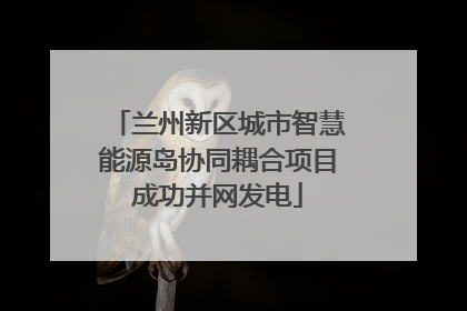兰州新区城市智慧能源岛协同耦合项目成功并网发电