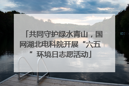 共同守护绿水青山，国网湖北电科院开展“六五”环境日志愿活动