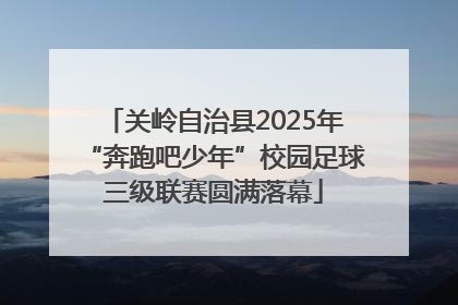 关岭自治县2025年“奔跑吧少年”校园足球三级联赛圆满落幕
