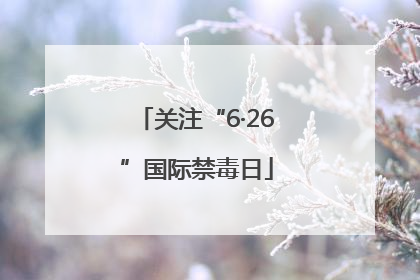 关注“6·26”国际禁毒日