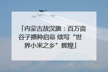 内蒙古敖汉旗：百万亩谷子播种启幕 续写“世界小米之乡”辉煌